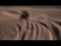 Big Dune - Dune Buggies