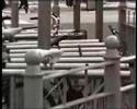 Le Parkour - Art Video
