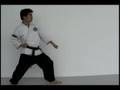 Kyokushin Karate - Basic Round House Kick - Mawashi Geri
