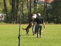 Dorian des Hommes Apaches (FMBB 2008) Slovenia