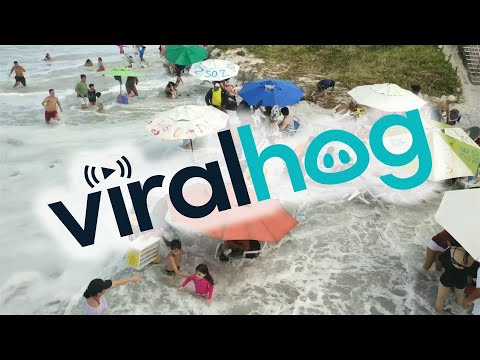 Ludzie w spokoju odpoczywali na plaży. Nikt nie spodziewał się, że ich wypoczynek zostanie nagle przerwany.