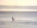 G-Land 1982 (part2)