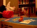 CRAZY DOG!! miniature dachshund CRAZY DOG!! miniature dachshund