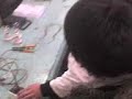 solis eletronico 2