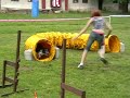 Andík a Jessie - trénink agility - červen
