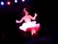 videos de Kellita of Hot Pink Feathers Bunny Solo