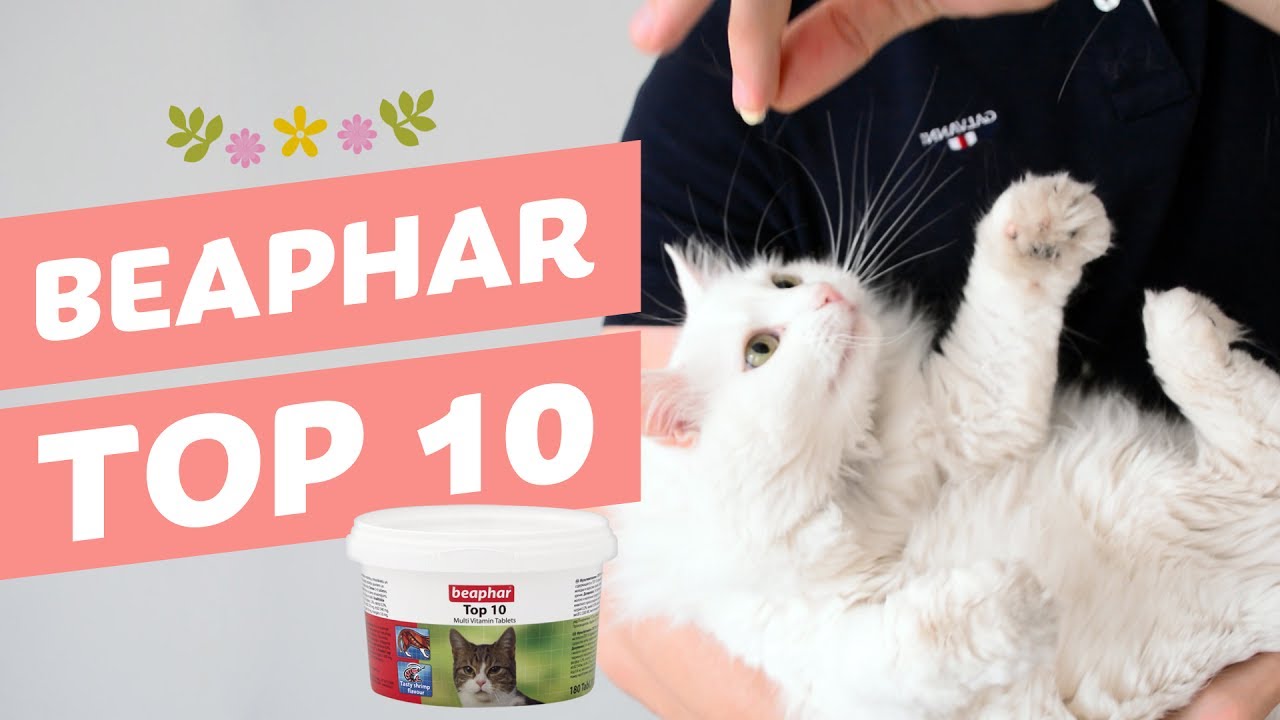Витамины Beaphar Top 10 для кошек
