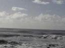 videos Surf