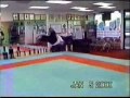 Capoeira et Taekwondo