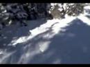 Brighton Resort Salt Lake City Utah 1/23/2008 #2