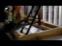 Budgies meet in HD, director\ Budgies meet in HD, director\