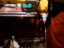 Boss SL 20 2nd Guitar try Demo