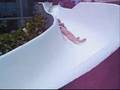 Sun Viking Lodge 60' Waterslide - Daytona Beach, FL