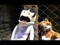 Mensaje para Guillermo Vargas J. (Habacuc) - Perritos vagos