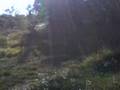 videos de mimik moto