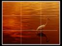 Rule Of Thirds Rule Of Thirds