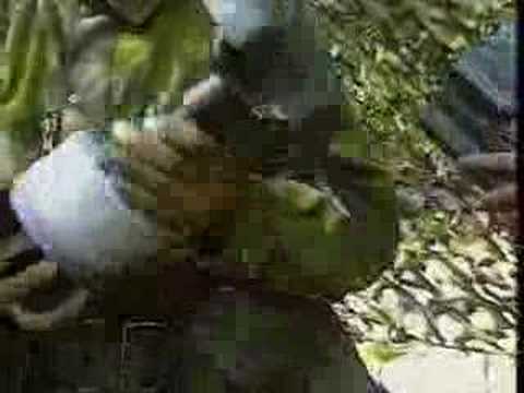Strix Precision Guided 120mm Mortar  ...