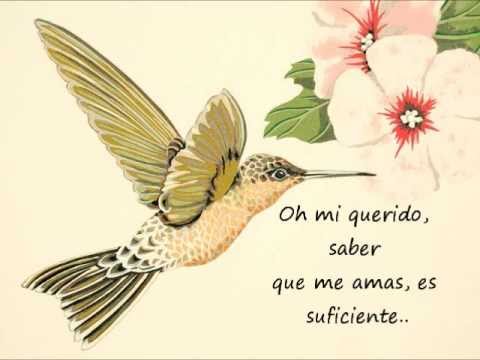 valentine song - Lotte Mullan- Valentine song * Letra en español.