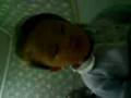 sharon abigail wijaya