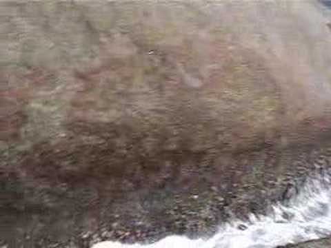 See video