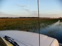 pantanal