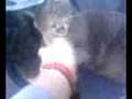 videos de Morlock Attack.3g2