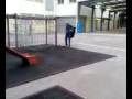 videos de Calvo volador