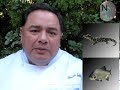 Comida Regional de Nordeste Argentino (NEA), por Claudio Solitario (Chef Internacional)