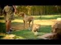 獵豹與狗　友情一週年
