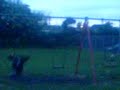 not good quality. but it's funny