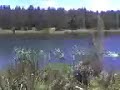 secluded fishin