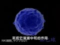 专家谈改变饮食从预防癌症与禽流感-01