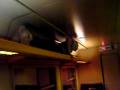 videos de Course dans les portes bagages