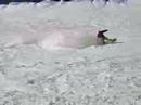 frontflip off lovers leap