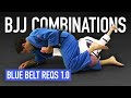BJJ Combinations