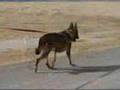 MWD VIDEO MONTAGE