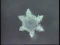 WATER CRYSTAL RELAXATION HEALING HEALTH MEDITATION BALANCE