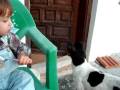 videos de santino y el yogur