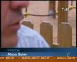 Sentencia sobre Alienacion Parental