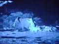 30 Lions Attack an Elephant