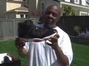 Brian's Air Jordan Collection