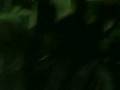 videos de Pier del vanna.3gp