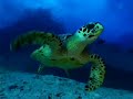 O mar � nosso?