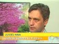 Prefeitura � multada por causa da canaf�stula