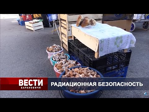 Вести Барановичи 20 августа 2024.