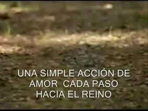 Imagen de previsualización de YouTube