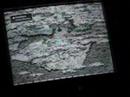 for those who want to see some gameplay before they buy/rent. graphics are great in person; my camera is to blame for showing the lines on the tv (can't find a way to change shutter speed).
it runs from after the new game cinema to beating the first colossus. there are no spoilers, unless you count how to beat the first one.

to the curious: the few pauses are for me to start recording again; my digital camera can only get 3 min or so at a time, so just ignore the slight distractions.