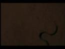 david y raul la serpiente