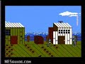 www.nesguide.com