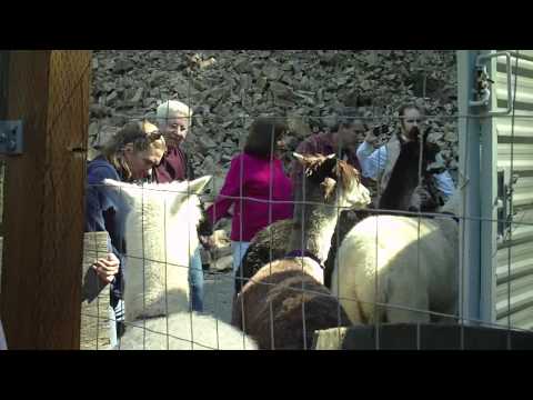 See video